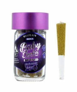 baby-jeeter-infused-grape-ape-5-pack-2-5g